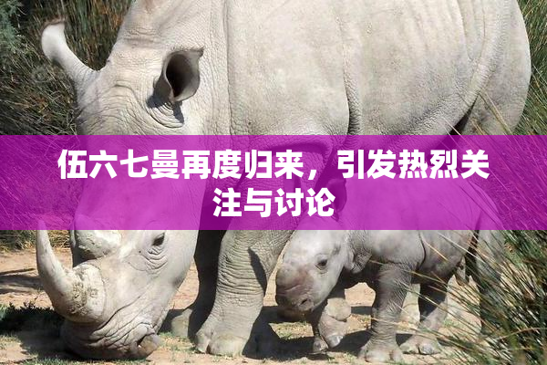 伍六七曼再度归来，引发热烈关注与讨论