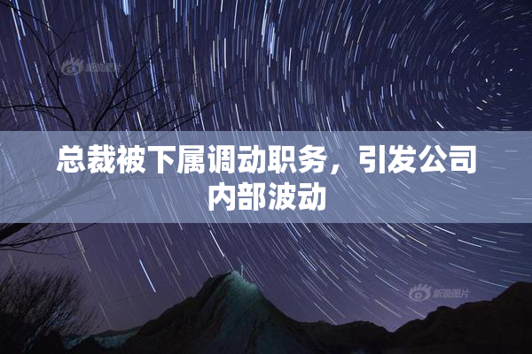 总裁被下属调动职务，引发公司内部波动
