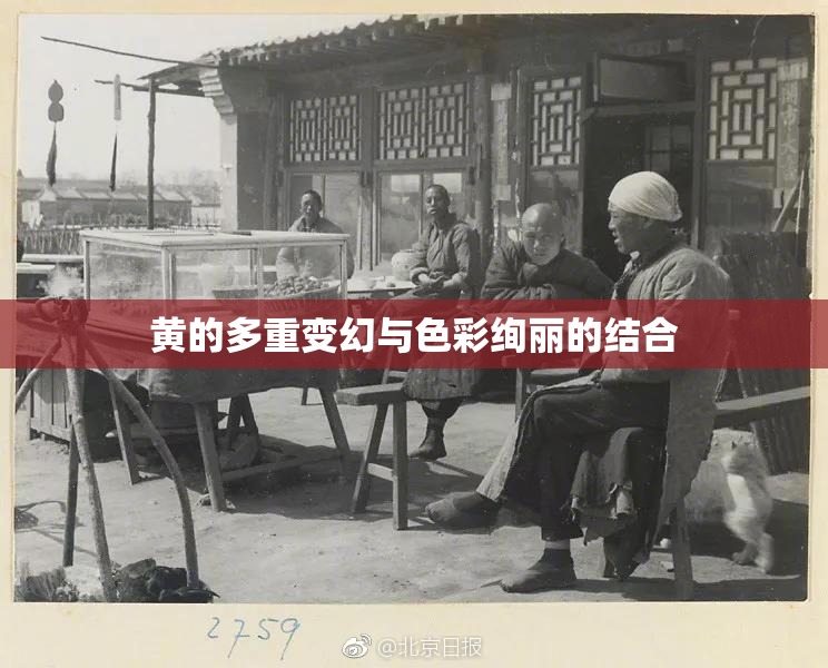 黄的多重变幻与色彩绚丽的结合