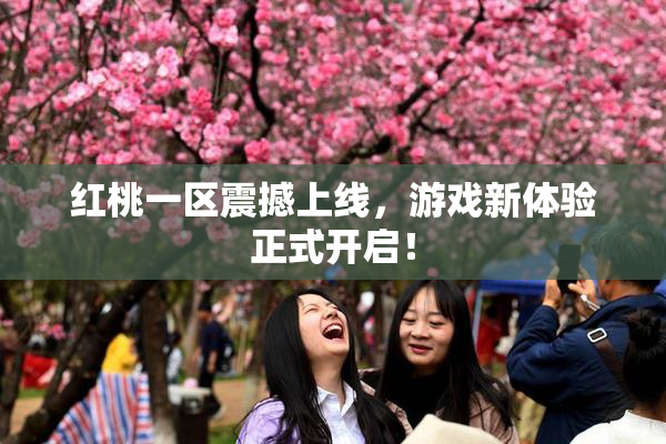 红桃一区震撼上线，游戏新体验正式开启！