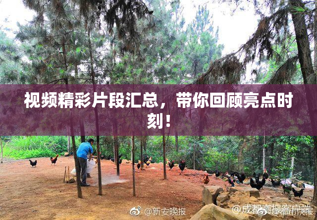 视频精彩片段汇总，带你回顾亮点时刻！