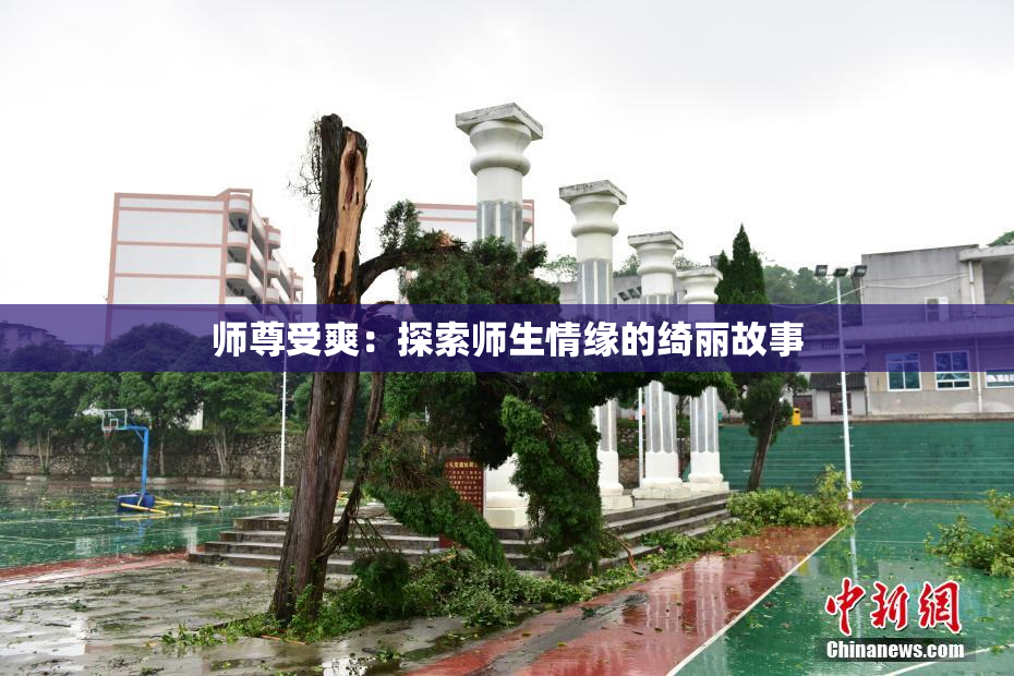 师尊受爽：探索师生情缘的绮丽故事