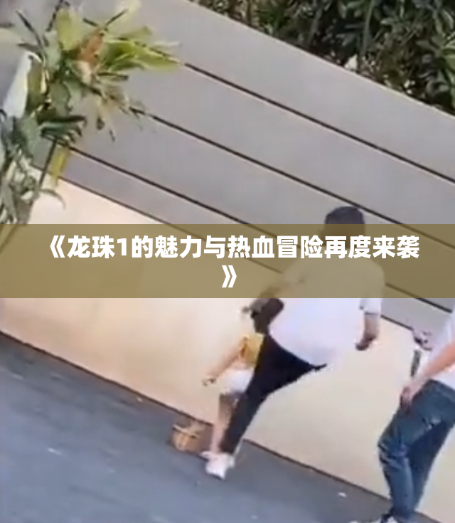 《龙珠1的魅力与热血冒险再度来袭》