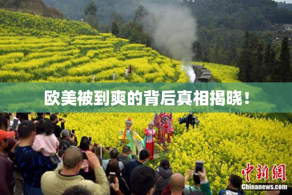 欧美被到爽的背后真相揭晓！