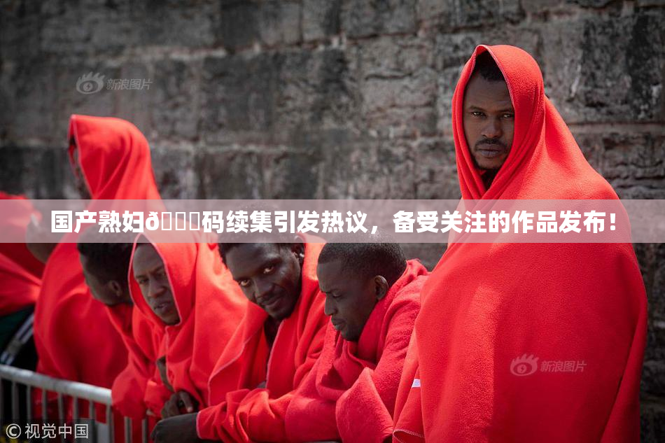 国产熟妇🈚码续集引发热议，备受关注的作品发布！