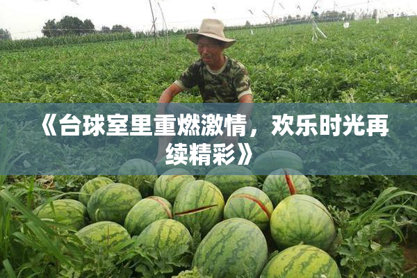 《台球室里重燃激情，欢乐时光再续精彩》