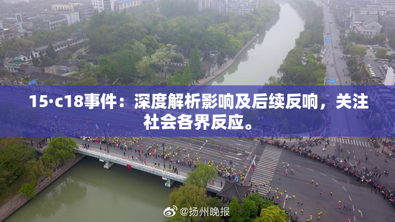 15·c18事件：深度解析影响及后续反响，关注社会各界反应。