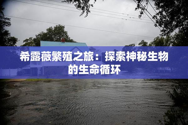 希露薇繁殖之旅：探索神秘生物的生命循环