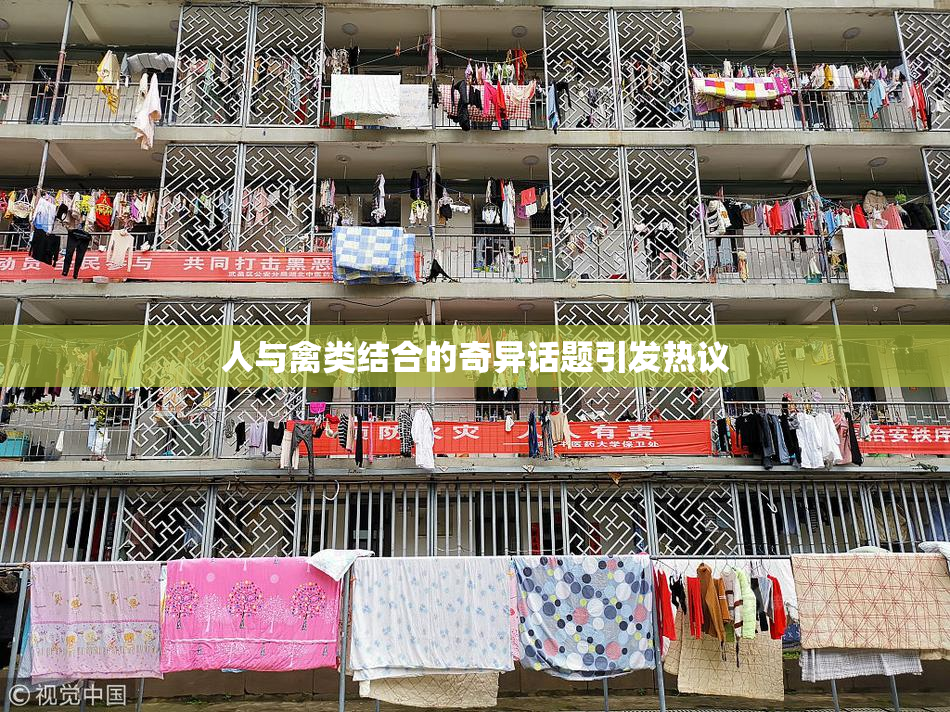 人与禽类结合的奇异话题引发热议
