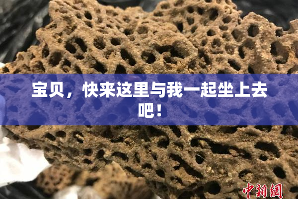 宝贝，快来这里与我一起坐上去吧！