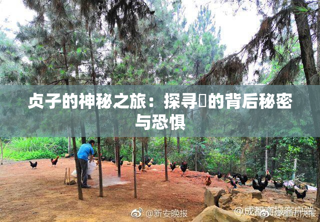 贞子的神秘之旅：探寻婬的背后秘密与恐惧