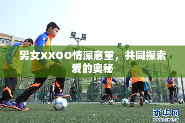 男女XXOO情深意重，共同探索爱的奥秘