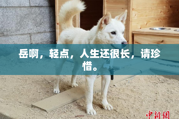 岳啊，轻点，人生还很长，请珍惜。