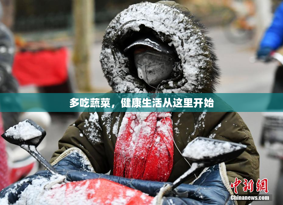 多吃蔬菜，健康生活从这里开始