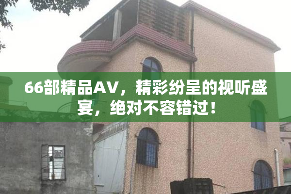 66部精品AV，精彩纷呈的视听盛宴，绝对不容错过！
