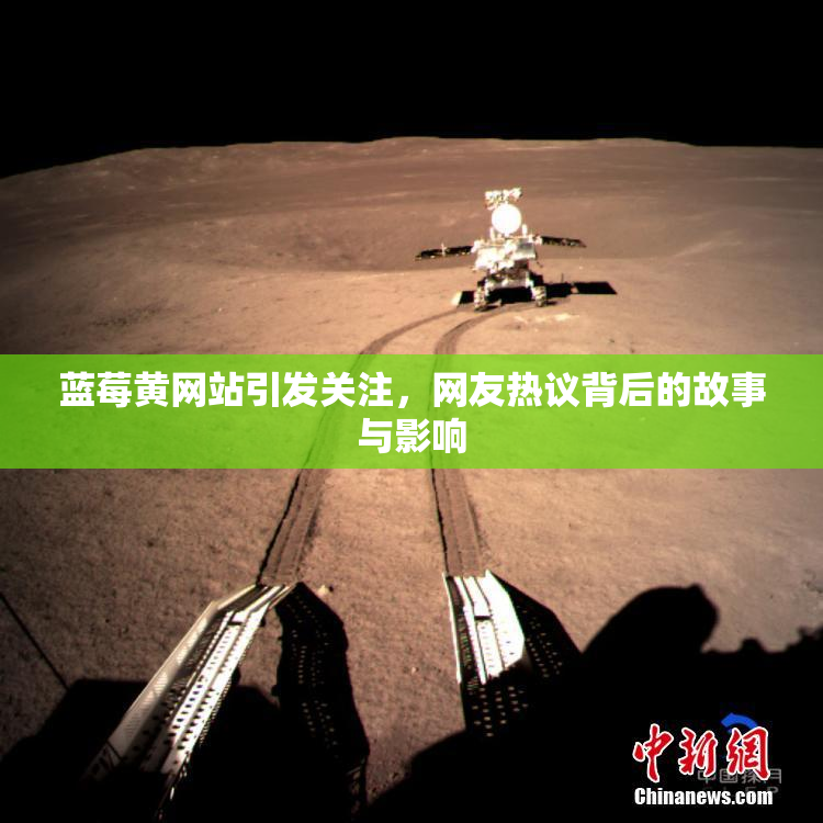 蓝莓黄网站引发关注，网友热议背后的故事与影响