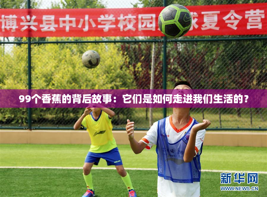 99个香蕉的背后故事：它们是如何走进我们生活的？