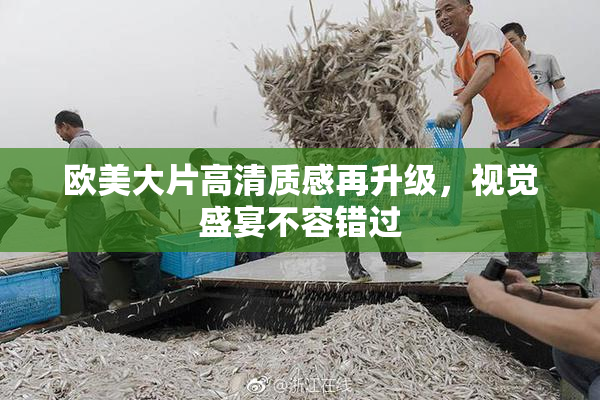 欧美大片高清质感再升级，视觉盛宴不容错过