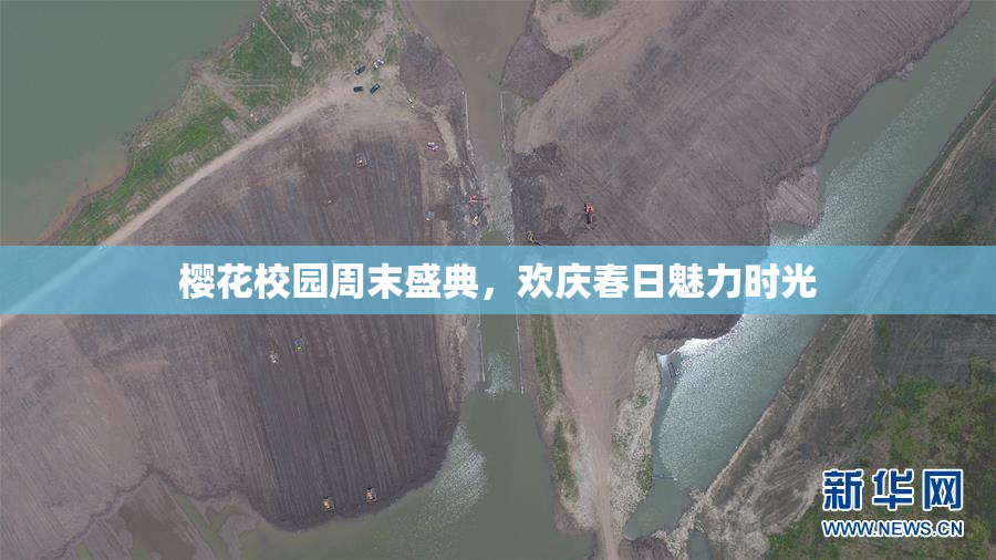 樱花校园周末盛典，欢庆春日魅力时光