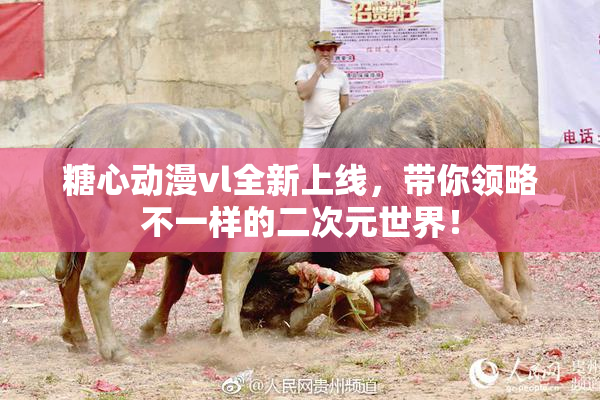 糖心动漫vl全新上线，带你领略不一样的二次元世界！
