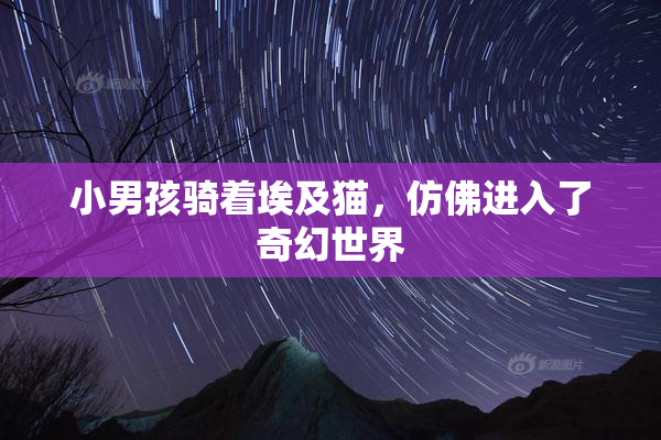 小男孩骑着埃及猫，仿佛进入了奇幻世界