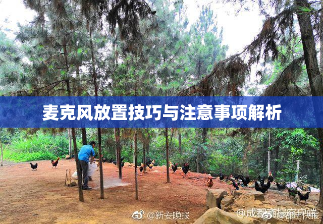 麦克风放置技巧与注意事项解析