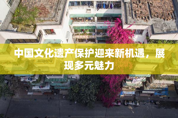 中国文化遗产保护迎来新机遇，展现多元魅力