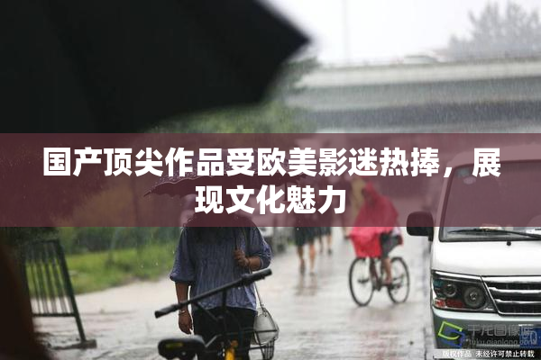 国产顶尖作品受欧美影迷热捧，展现文化魅力