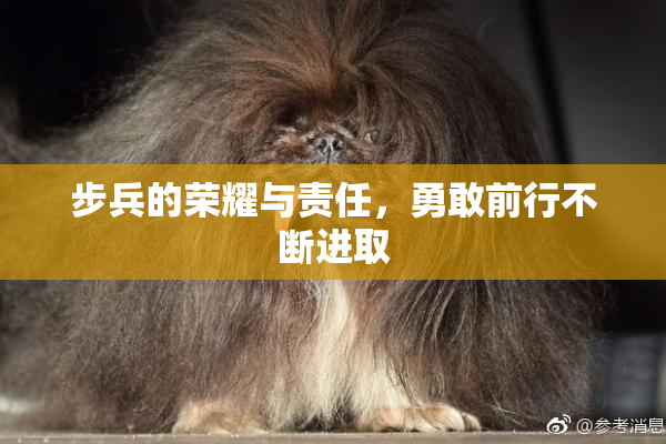 步兵的荣耀与责任，勇敢前行不断进取