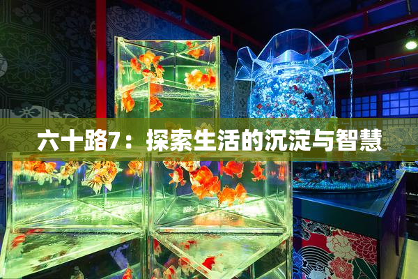六十路7：探索生活的沉淀与智慧
