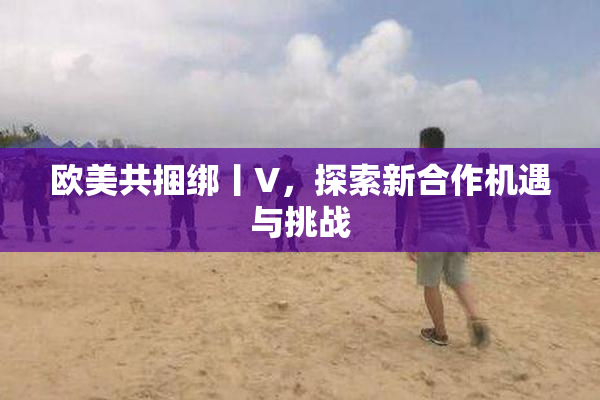 欧美共捆绑丨V，探索新合作机遇与挑战