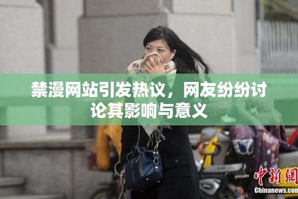 禁漫网站引发热议，网友纷纷讨论其影响与意义