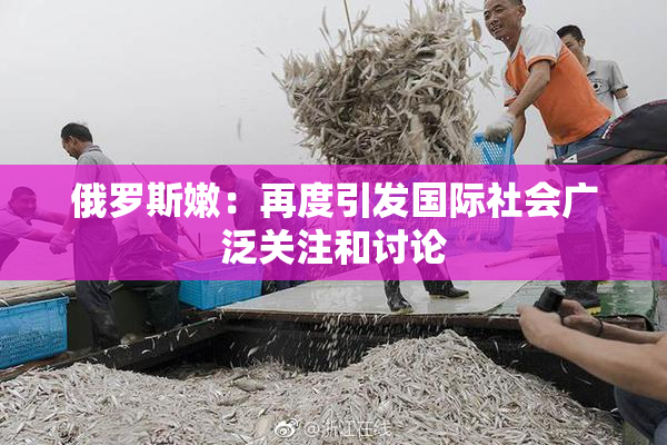 俄罗斯嫩：再度引发国际社会广泛关注和讨论