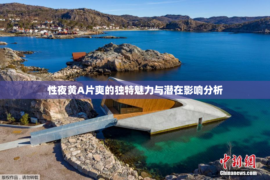 性夜黄A片爽的独特魅力与潜在影响分析