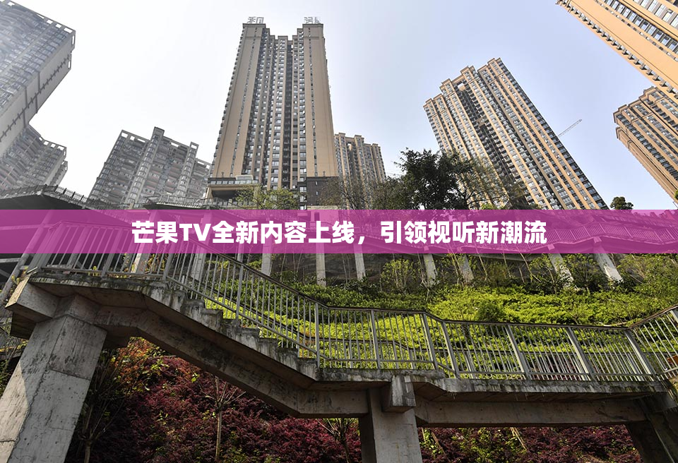 芒果TV全新内容上线，引领视听新潮流
