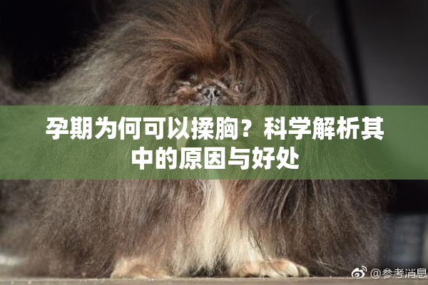 孕期为何可以揉胸？科学解析其中的原因与好处
