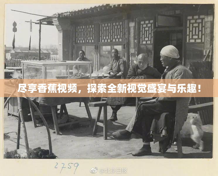 尽享香蕉视频，探索全新视觉盛宴与乐趣！