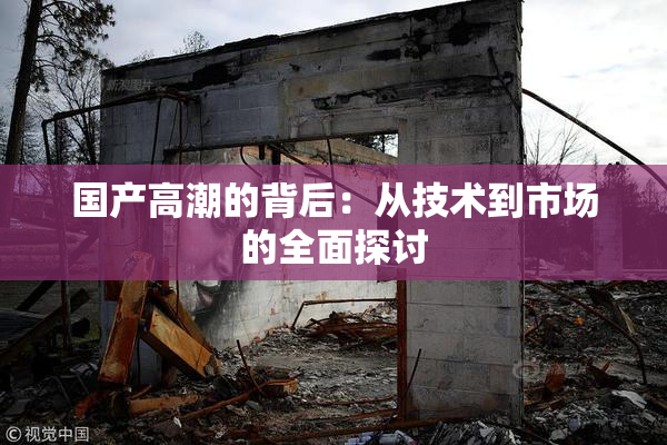 国产高潮的背后：从技术到市场的全面探讨