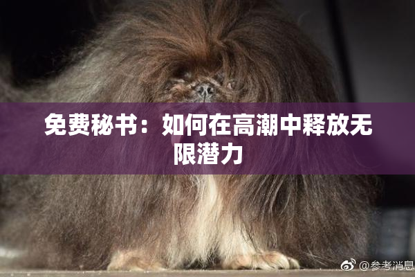 免费秘书：如何在高潮中释放无限潜力