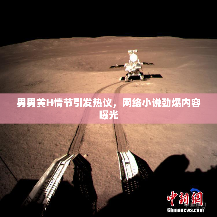 男男黄H情节引发热议，网络小说劲爆内容曝光