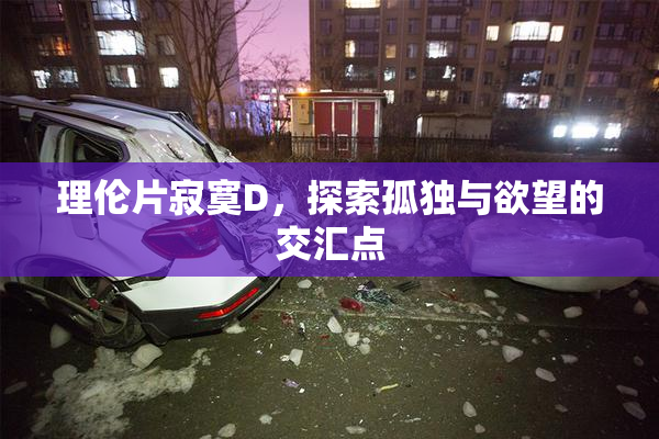 理伦片寂寞D，探索孤独与欲望的交汇点