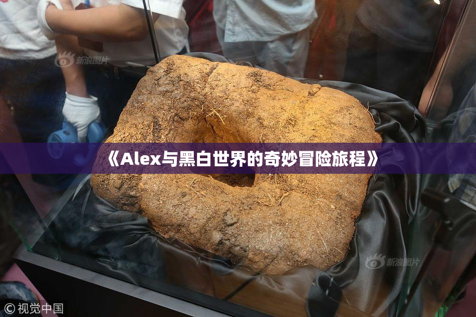 《Alex与黑白世界的奇妙冒险旅程》