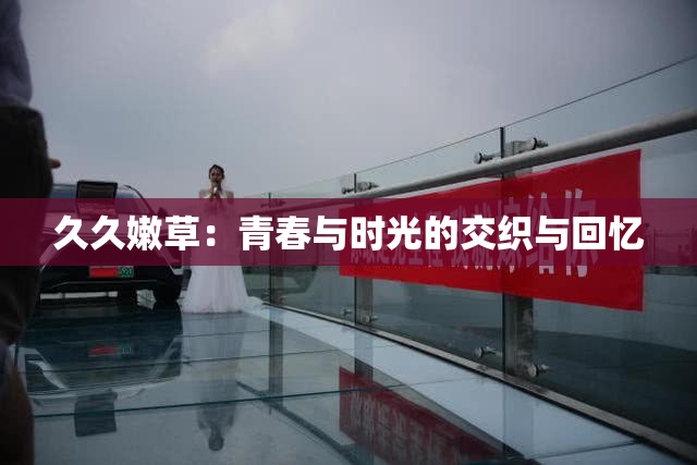 久久嫩草：青春与时光的交织与回忆