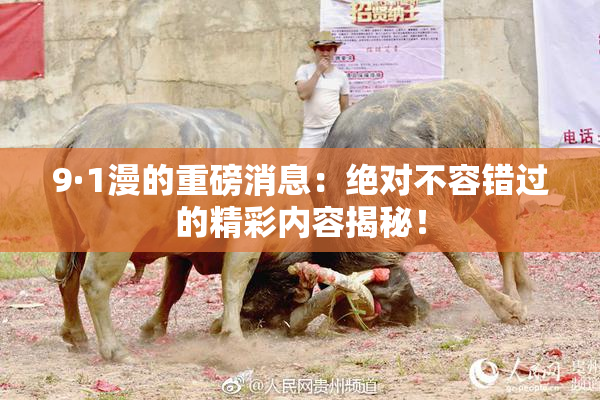 9·1漫的重磅消息：绝对不容错过的精彩内容揭秘！