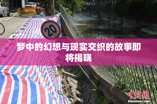 梦中的幻想与现实交织的故事即将揭晓