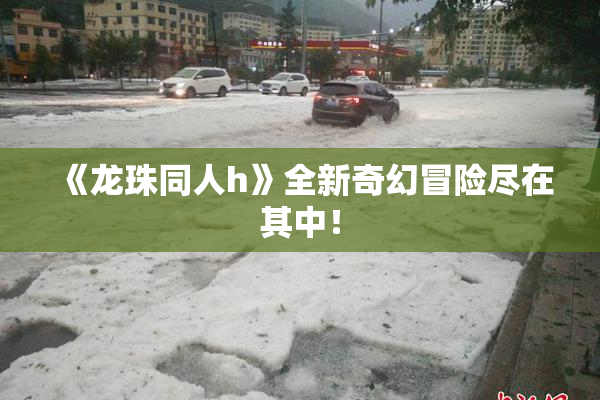 《龙珠同人h》全新奇幻冒险尽在其中！