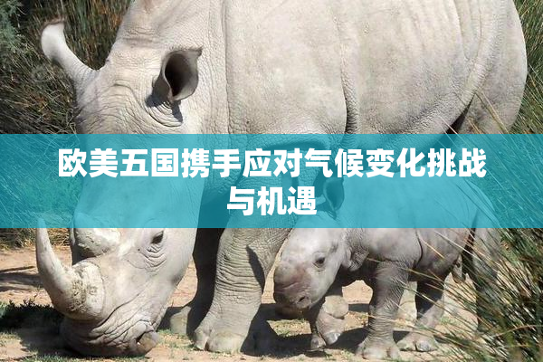 欧美五国携手应对气候变化挑战与机遇
