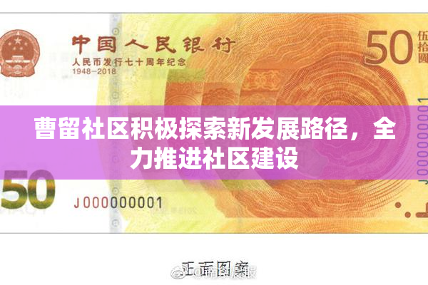 曹留社区积极探索新发展路径，全力推进社区建设