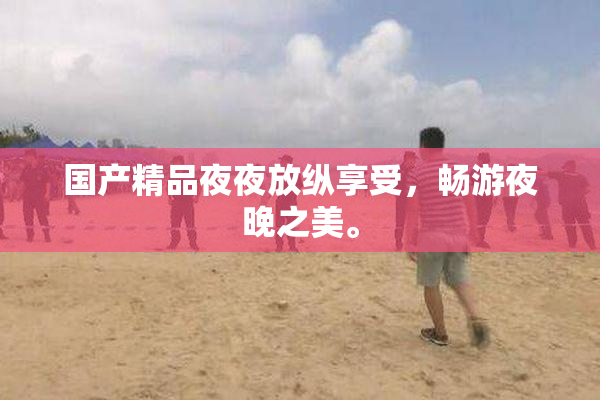 国产精品夜夜放纵享受，畅游夜晚之美。
