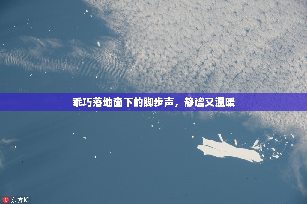 乖巧落地窗下的脚步声，静谧又温暖